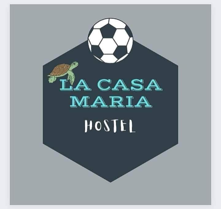 La Casa Maria Hostel Moalboal Buitenkant foto